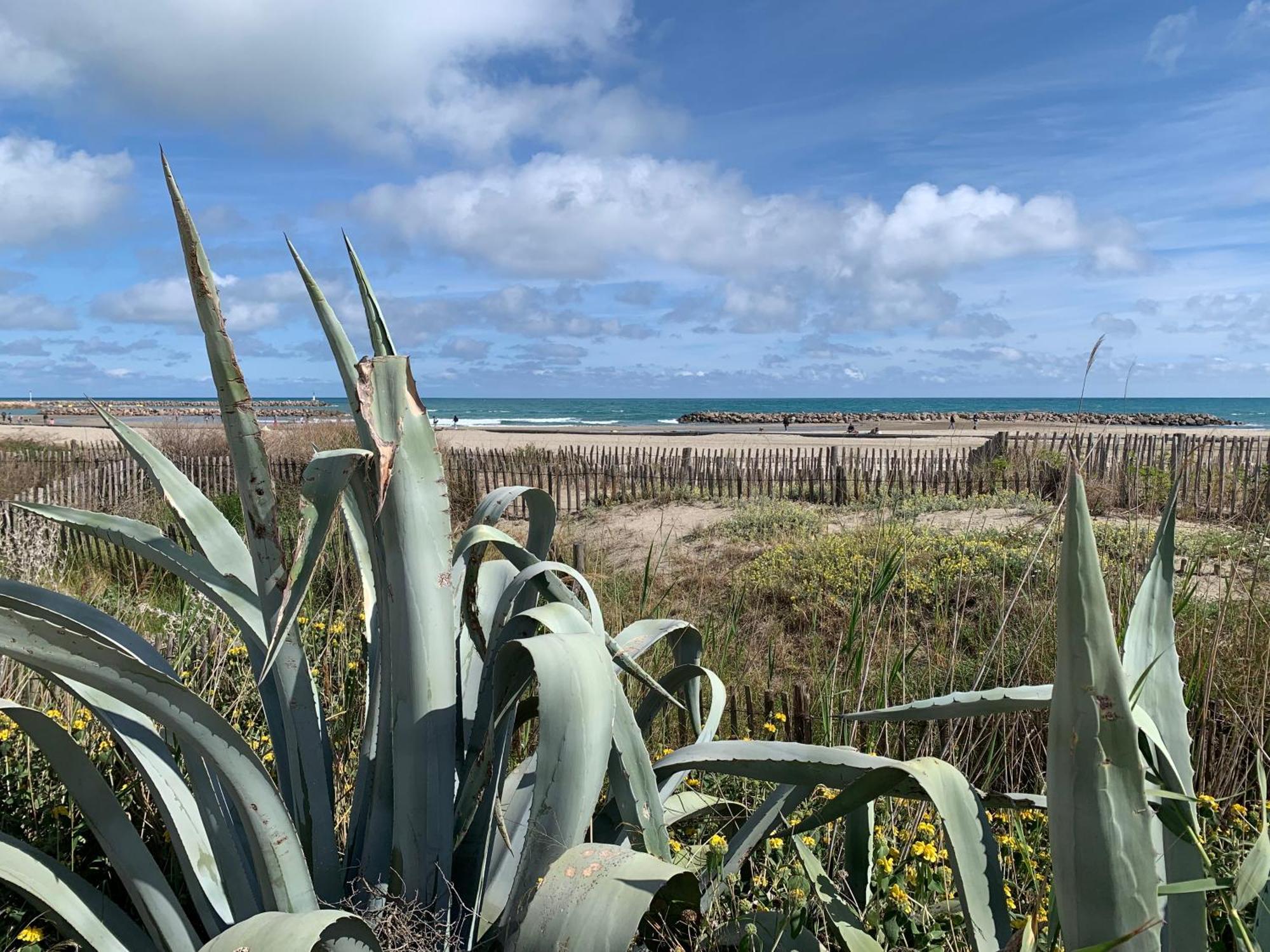 Sète - Fewo mit Meerblick, Schwimmbad Extérieur photo